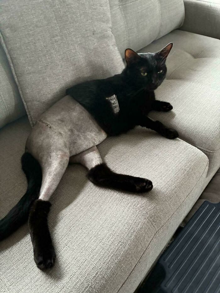 113 Of The Funniest And Most Ridiculous Animal Photos Ever Shared 113 Of The Funniest And Most Ridiculous Animal Photos Ever Shared