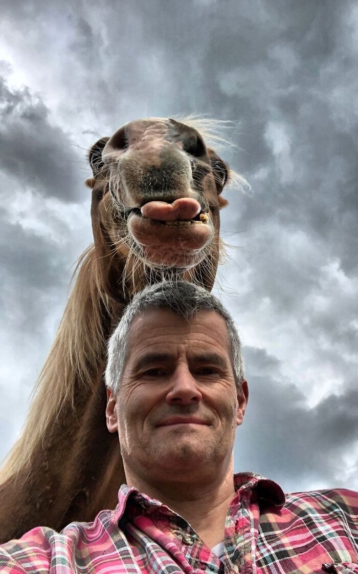 113 Of The Funniest And Most Ridiculous Animal Photos Ever Shared 113 Of The Funniest And Most Ridiculous Animal Photos Ever Shared