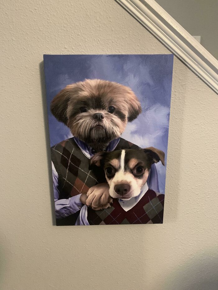 113 Of The Funniest And Most Ridiculous Animal Photos Ever Shared 113 Of The Funniest And Most Ridiculous Animal Photos Ever Shared