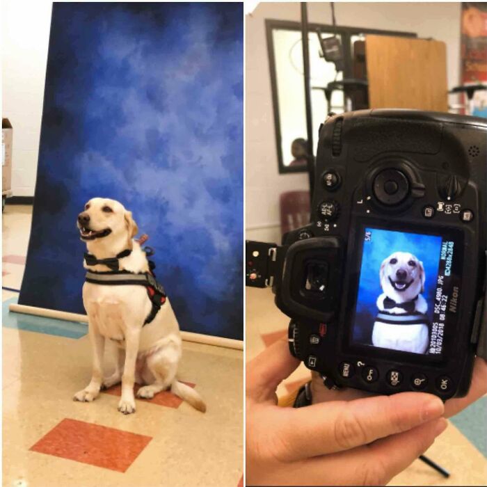 113 Of The Funniest And Most Ridiculous Animal Photos Ever Shared 113 Of The Funniest And Most Ridiculous Animal Photos Ever Shared