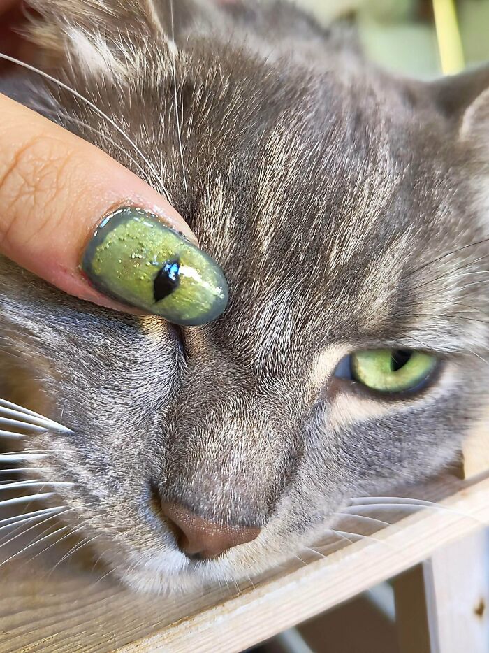 113 Of The Funniest And Most Ridiculous Animal Photos Ever Shared 113 Of The Funniest And Most Ridiculous Animal Photos Ever Shared