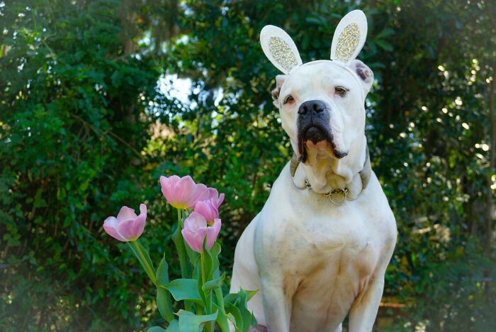 113 Of The Funniest And Most Ridiculous Animal Photos Ever Shared 113 Of The Funniest And Most Ridiculous Animal Photos Ever Shared