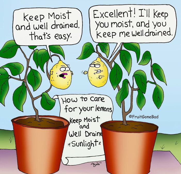 &ldquo;Fruit Gone Bad&rdquo;: 43 Funny Comics That Bring Produce And Objects To Life (New Pics)