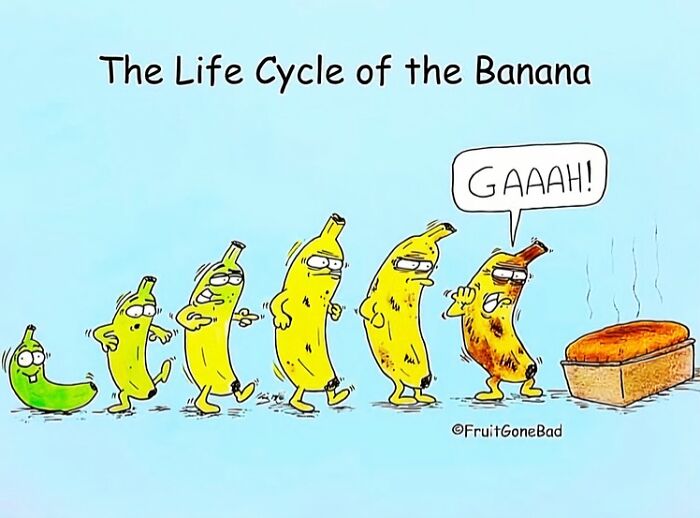 &ldquo;Fruit Gone Bad&rdquo;: 43 Funny Comics That Bring Produce And Objects To Life (New Pics)