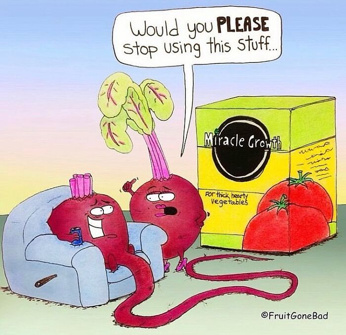 &ldquo;Fruit Gone Bad&rdquo;: 43 Funny Comics That Bring Produce And Objects To Life (New Pics)