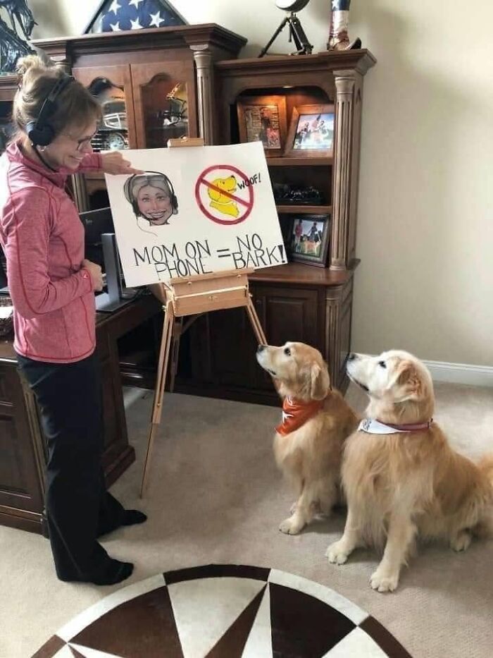 49 Funny Memes Shared By &ldquo;Dog Memes Galore&rdquo; That Pet Owners Might Relate To