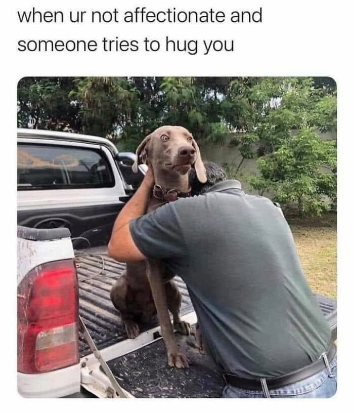 49 Funny Memes Shared By &ldquo;Dog Memes Galore&rdquo; That Pet Owners Might Relate To