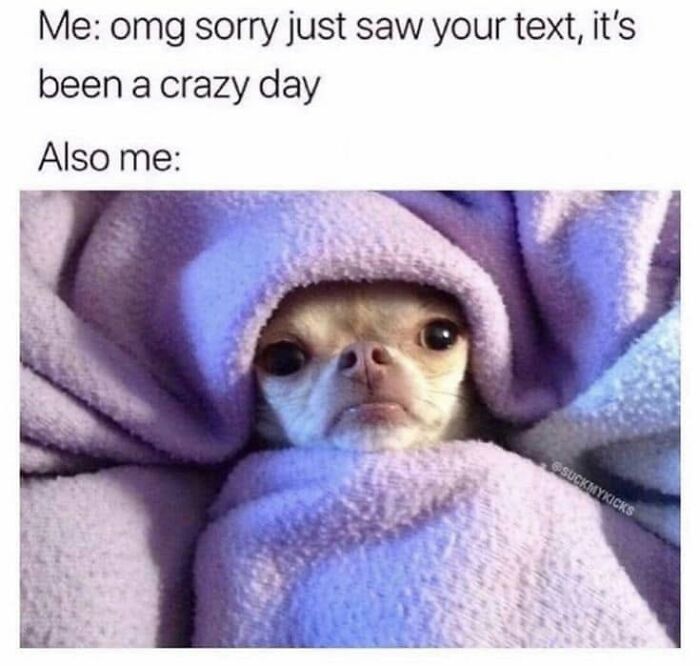 49 Funny Memes Shared By &ldquo;Dog Memes Galore&rdquo; That Pet Owners Might Relate To