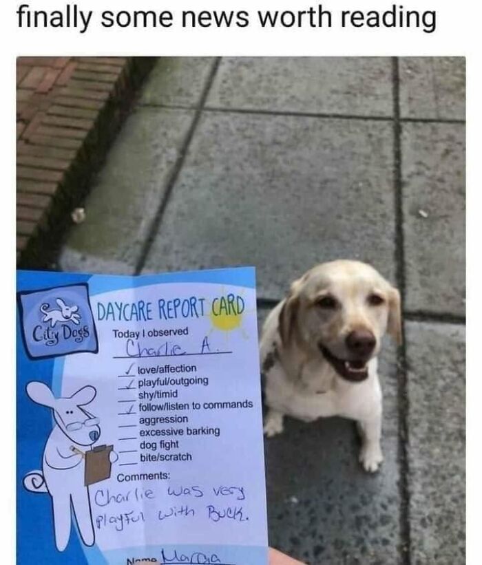 49 Funny Memes Shared By &ldquo;Dog Memes Galore&rdquo; That Pet Owners Might Relate To