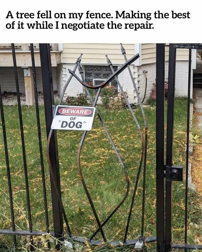 49 Funny Memes Shared By &ldquo;Dog Memes Galore&rdquo; That Pet Owners Might Relate To