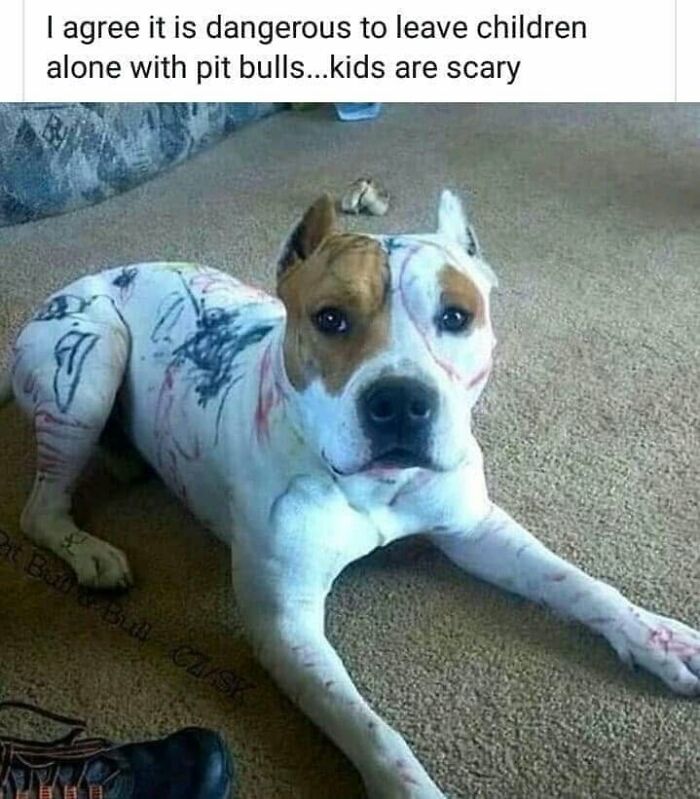 49 Funny Memes Shared By &ldquo;Dog Memes Galore&rdquo; That Pet Owners Might Relate To