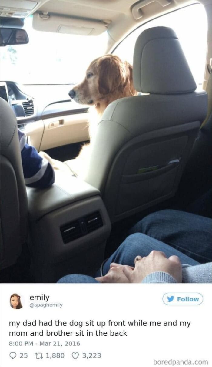 49 Funny Memes Shared By &ldquo;Dog Memes Galore&rdquo; That Pet Owners Might Relate To