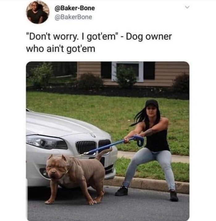 49 Funny Memes Shared By &ldquo;Dog Memes Galore&rdquo; That Pet Owners Might Relate To