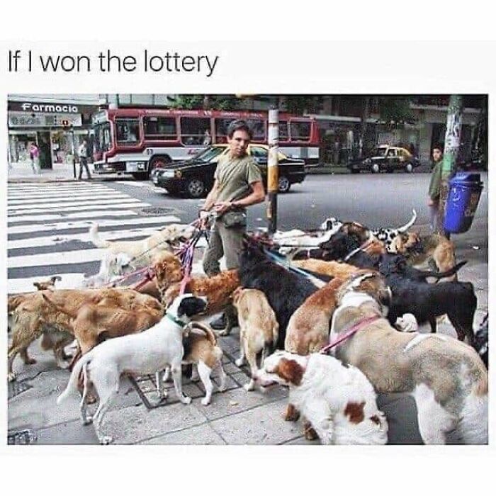 49 Funny Memes Shared By &ldquo;Dog Memes Galore&rdquo; That Pet Owners Might Relate To