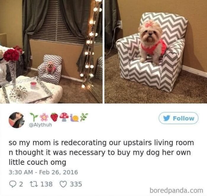 49 Funny Memes Shared By &ldquo;Dog Memes Galore&rdquo; That Pet Owners Might Relate To
