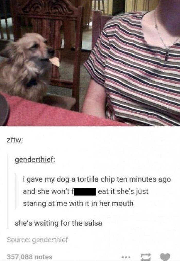 49 Funny Memes Shared By &ldquo;Dog Memes Galore&rdquo; That Pet Owners Might Relate To