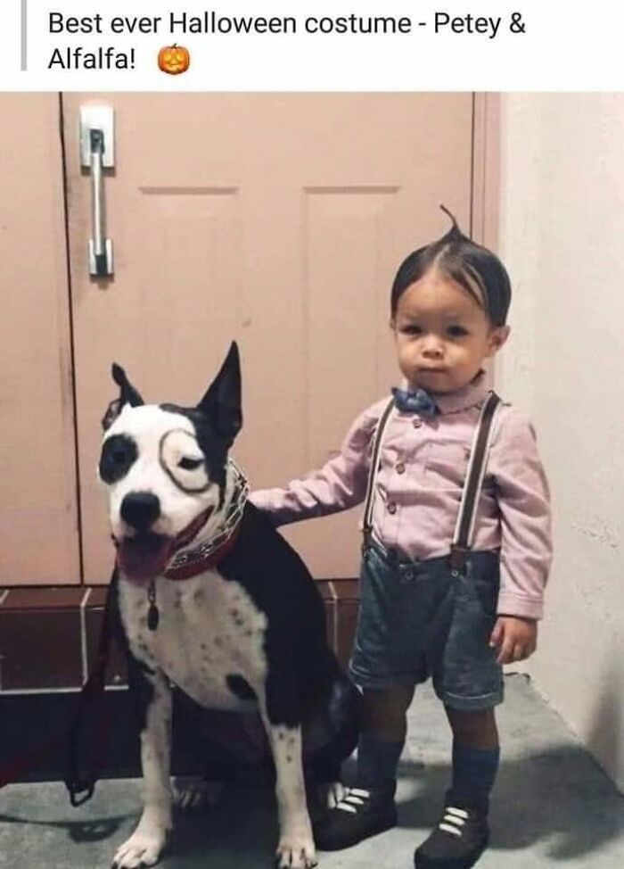 49 Funny Memes Shared By &ldquo;Dog Memes Galore&rdquo; That Pet Owners Might Relate To