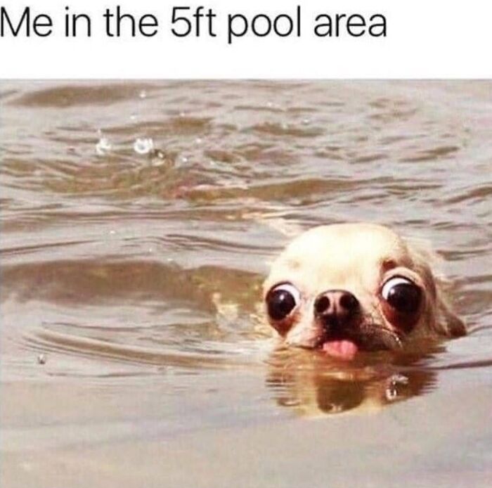 49 Funny Memes Shared By &ldquo;Dog Memes Galore&rdquo; That Pet Owners Might Relate To