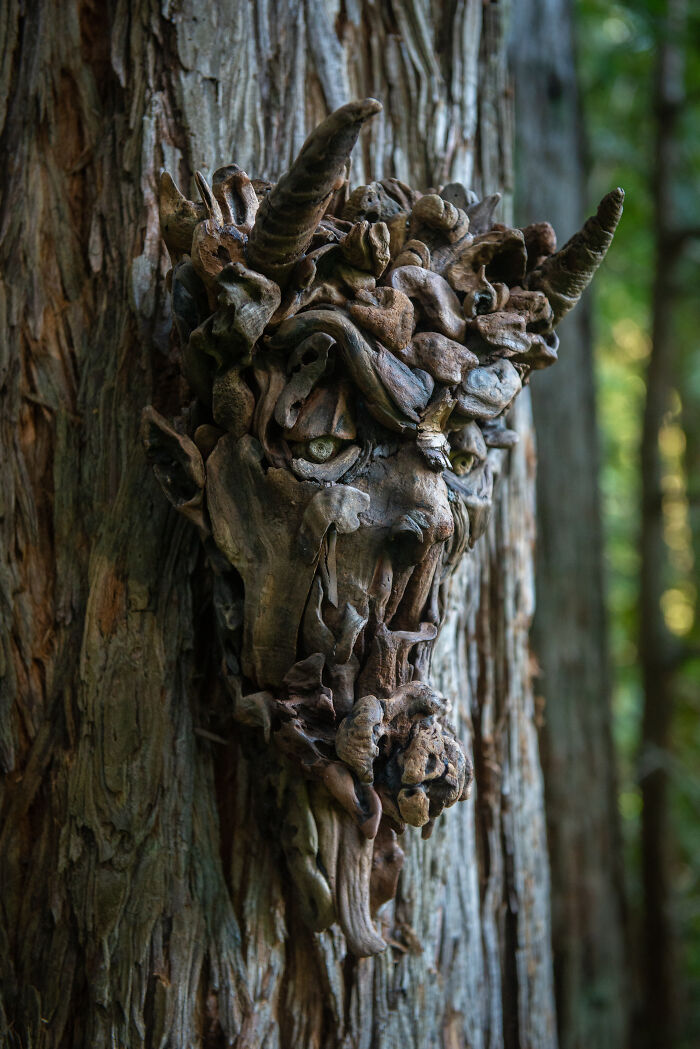 27 Stunning Sculptures Made From Pieces Of Wood Collected Across Nature By This Artist 27 Stunning Sculptures Made From Pieces Of Wood Collected Across Nature By This Artist