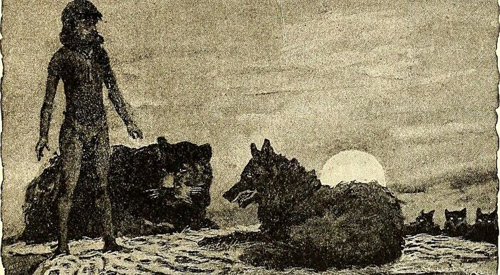 “Are You A True Bibliophile?”: Match These 10 Illustrations To The Correct Books “Are You A True Bibliophile?”: Match These 10 Illustrations To The Correct Books