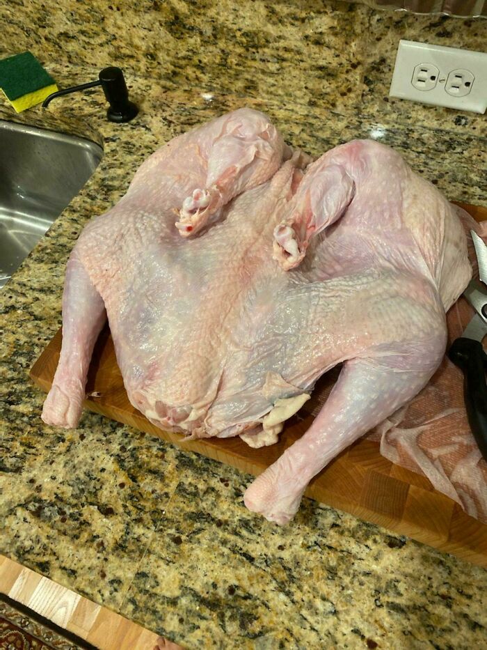 79 Dishes So Stupid, It’s Hard To Believe Someone Actually Decided To Make Them (New Pics) 79 Dishes So Stupid, It’s Hard To Believe Someone Actually Decided To Make Them (New Pics)