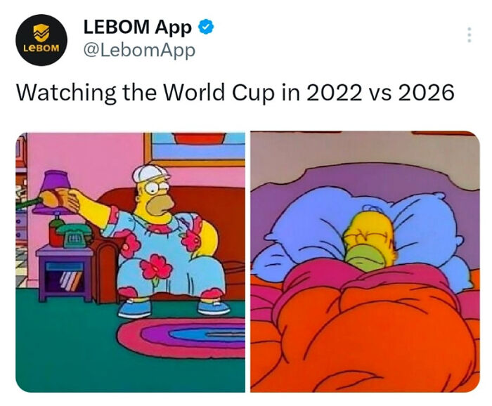 83 Of The Funniest World Cup Tweets That Have Football Fans Belly-Laughing