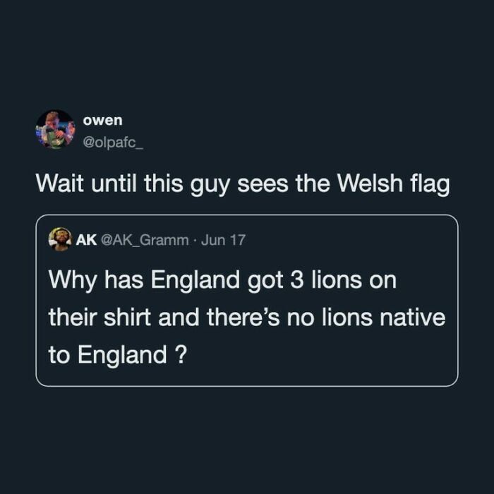 83 Of The Funniest World Cup Tweets That Have Football Fans Belly-Laughing