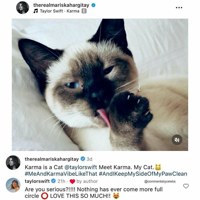 59 Funny And Unexpected Celebrity Comments That Stole The Spotlight (New Pics)