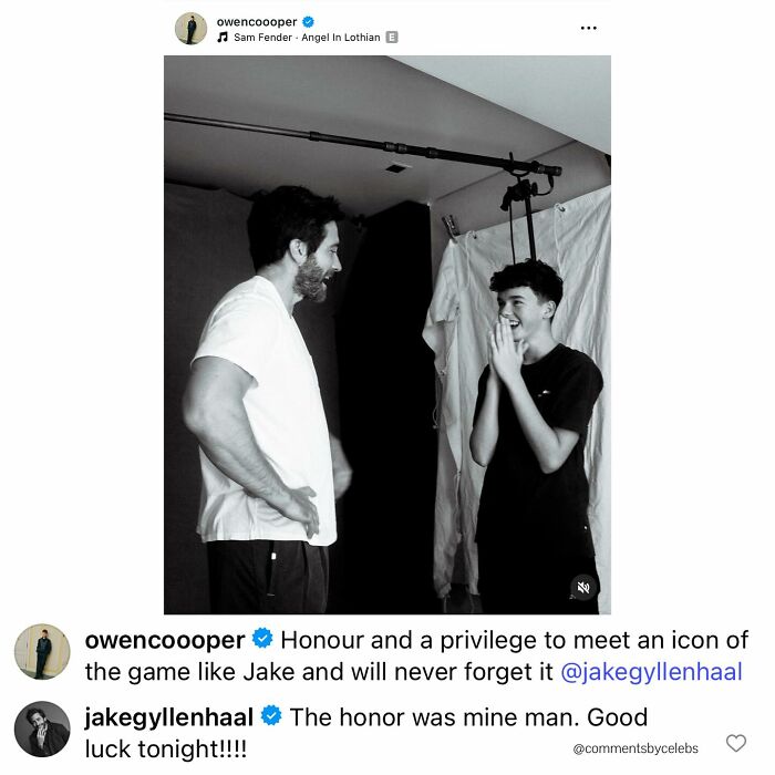 59 Funny And Unexpected Celebrity Comments That Stole The Spotlight (New Pics)