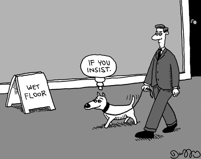 24 Dry And Absurd Cartoons By J.C. Duffy That May Take A Second To Click 24 Dry And Absurd Cartoons By J.C. Duffy That May Take A Second To Click