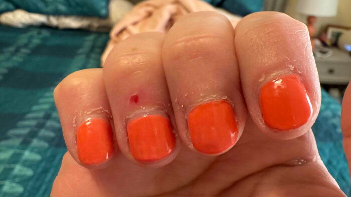 52 Times Someone Left A Beauty Salon Looking Significantly Worse Than When They Walked In 52 Times Someone Left A Beauty Salon Looking Significantly Worse Than When They Walked In