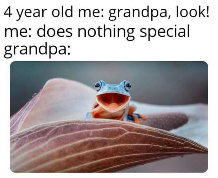 ‘Animal Comedy’: 50 Memes That Prove Animals Are The Funniest Creatures On The Internet ‘Animal Comedy’: 50 Memes That Prove Animals Are The Funniest Creatures On The Internet