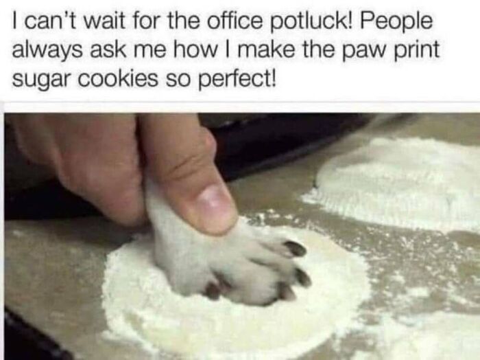 ‘Animal Comedy’: 50 Memes That Prove Animals Are The Funniest Creatures On The Internet ‘Animal Comedy’: 50 Memes That Prove Animals Are The Funniest Creatures On The Internet