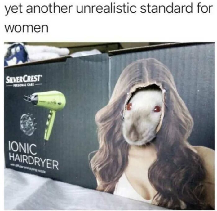 ‘Animal Comedy’: 50 Memes That Prove Animals Are The Funniest Creatures On The Internet ‘Animal Comedy’: 50 Memes That Prove Animals Are The Funniest Creatures On The Internet