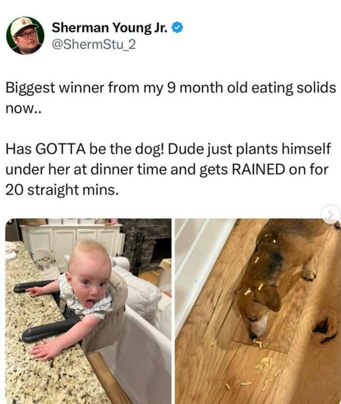 ‘Animal Comedy’: 50 Memes That Prove Animals Are The Funniest Creatures On The Internet ‘Animal Comedy’: 50 Memes That Prove Animals Are The Funniest Creatures On The Internet