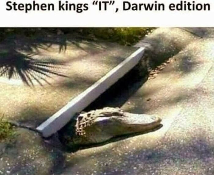 ‘Animal Comedy’: 50 Memes That Prove Animals Are The Funniest Creatures On The Internet ‘Animal Comedy’: 50 Memes That Prove Animals Are The Funniest Creatures On The Internet