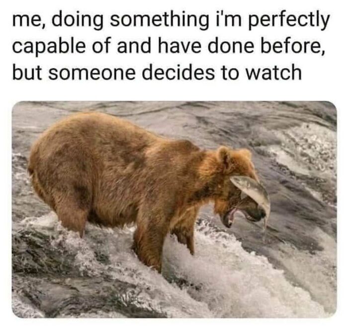 ‘Animal Comedy’: 50 Memes That Prove Animals Are The Funniest Creatures On The Internet ‘Animal Comedy’: 50 Memes That Prove Animals Are The Funniest Creatures On The Internet