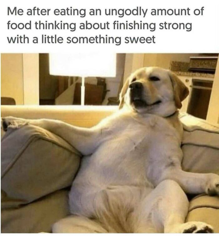 ‘Animal Comedy’: 50 Memes That Prove Animals Are The Funniest Creatures On The Internet ‘Animal Comedy’: 50 Memes That Prove Animals Are The Funniest Creatures On The Internet