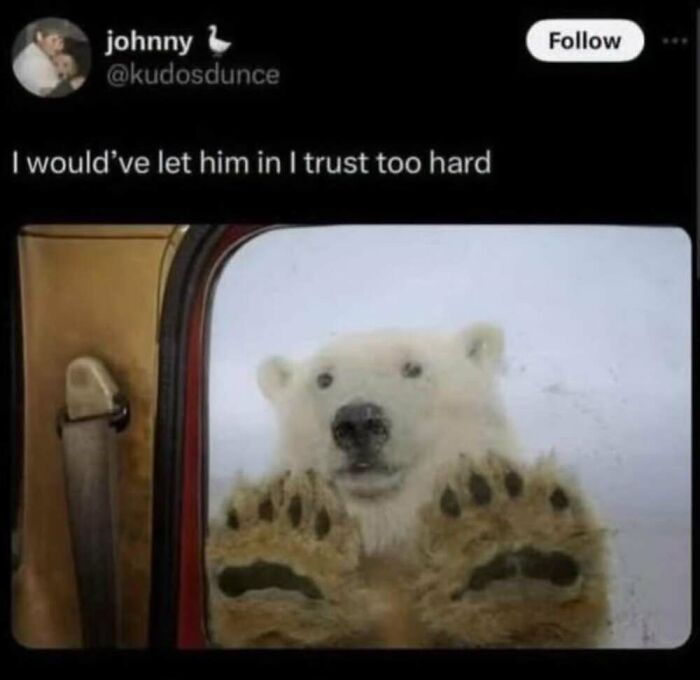 ‘Animal Comedy’: 50 Memes That Prove Animals Are The Funniest Creatures On The Internet ‘Animal Comedy’: 50 Memes That Prove Animals Are The Funniest Creatures On The Internet