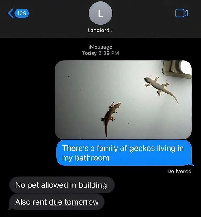68 Horrible Landlords Who’ve Made Their Tenant’s Life Miserable