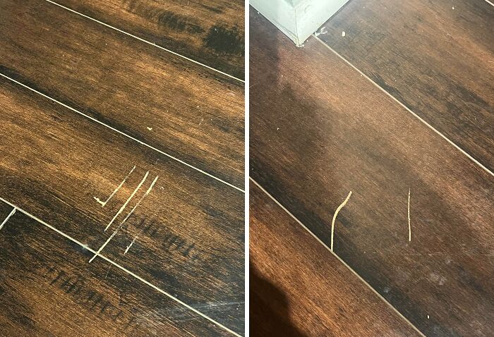 68 Horrible Landlords Who’ve Made Their Tenant’s Life Miserable