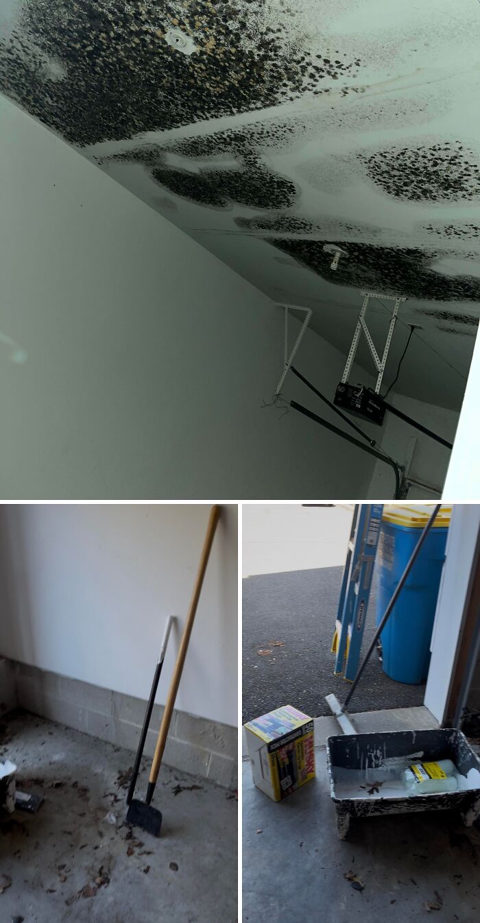 68 Horrible Landlords Who’ve Made Their Tenant’s Life Miserable