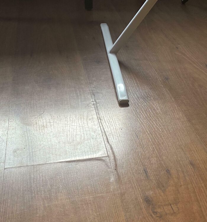 68 Horrible Landlords Who’ve Made Their Tenant’s Life Miserable