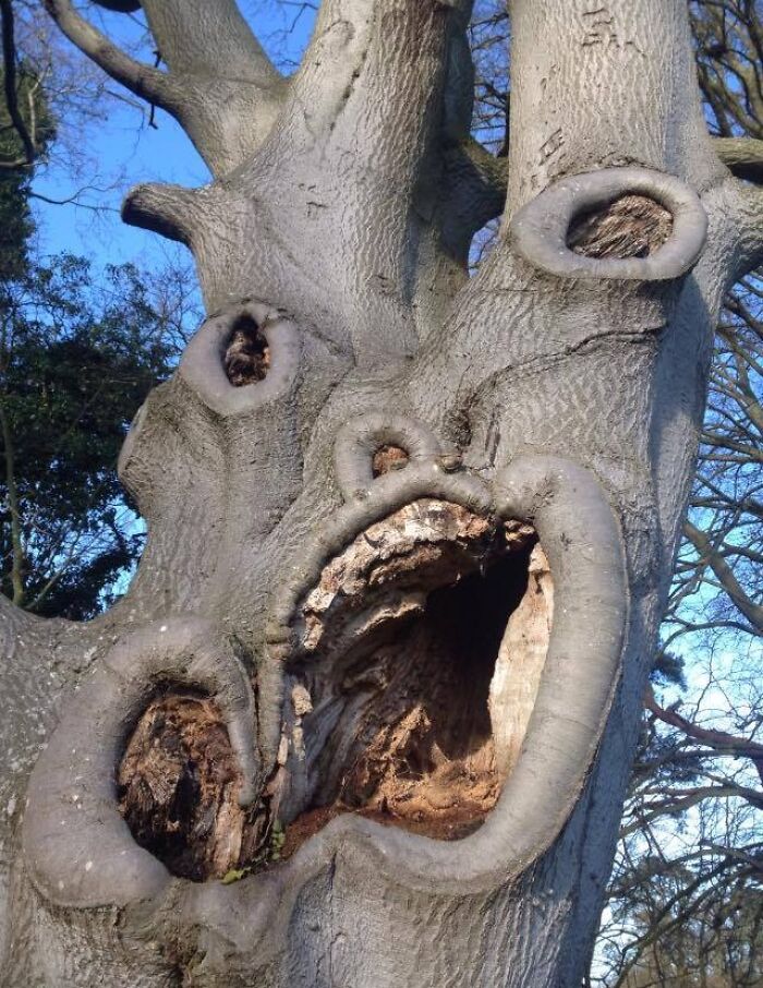 33 Nature Photos To Make You Reconsider Every Outdoor Plan You Have Ever Made 33 Nature Photos To Make You Reconsider Every Outdoor Plan You Have Ever Made