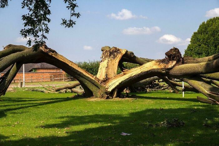 33 Nature Photos To Make You Reconsider Every Outdoor Plan You Have Ever Made 33 Nature Photos To Make You Reconsider Every Outdoor Plan You Have Ever Made