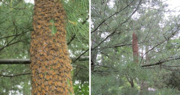 33 Nature Photos To Make You Reconsider Every Outdoor Plan You Have Ever Made 33 Nature Photos To Make You Reconsider Every Outdoor Plan You Have Ever Made