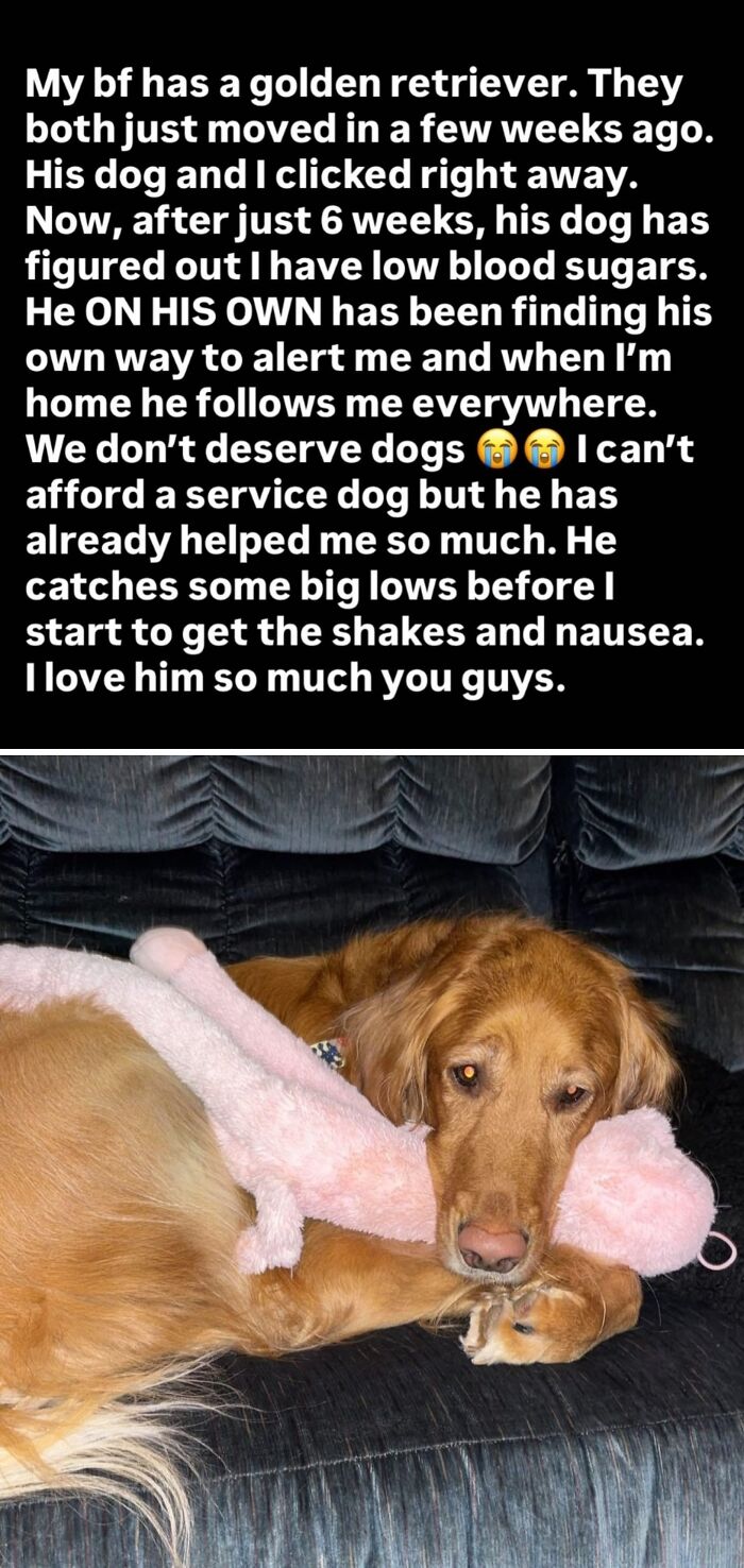 If You Are Having A Bad Day, These 80 Aww-Worthy Photos And Stories May Lift Your Spirits If You Are Having A Bad Day, These 80 Aww-Worthy Photos And Stories May Lift Your Spirits