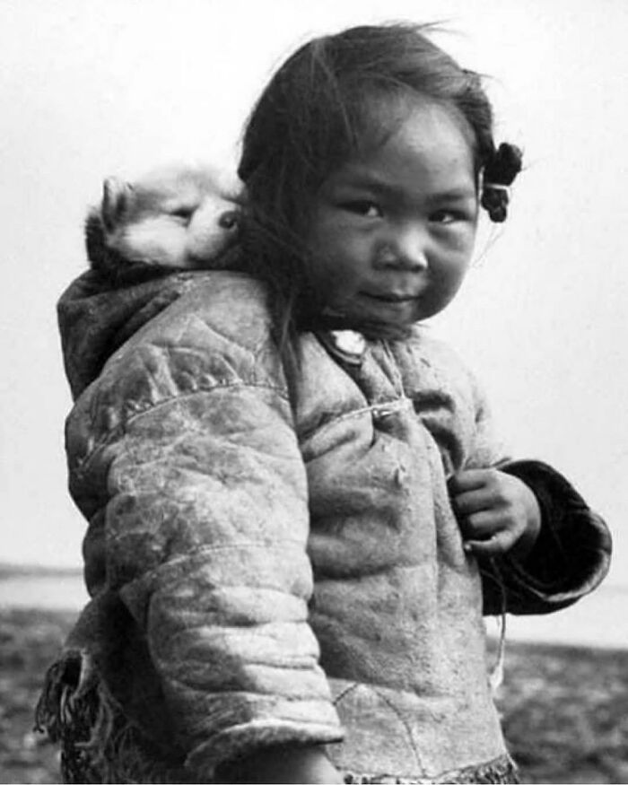 If You Are Having A Bad Day, These 80 Aww-Worthy Photos And Stories May Lift Your Spirits If You Are Having A Bad Day, These 80 Aww-Worthy Photos And Stories May Lift Your Spirits