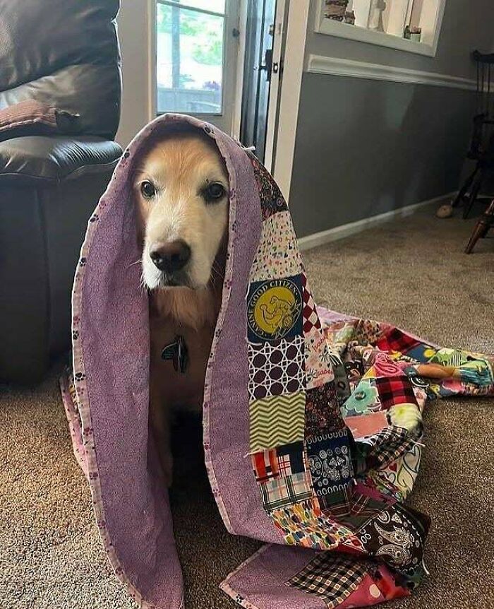 If You Are Having A Bad Day, These 80 Aww-Worthy Photos And Stories May Lift Your Spirits If You Are Having A Bad Day, These 80 Aww-Worthy Photos And Stories May Lift Your Spirits