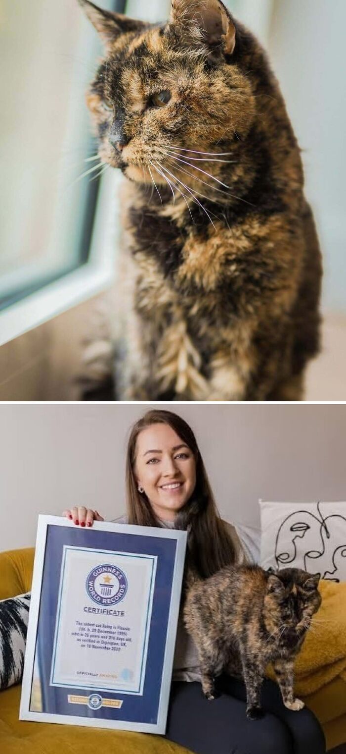 If You Are Having A Bad Day, These 80 Aww-Worthy Photos And Stories May Lift Your Spirits If You Are Having A Bad Day, These 80 Aww-Worthy Photos And Stories May Lift Your Spirits